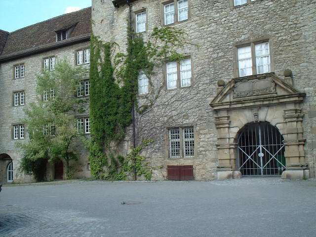 img0135.jpg