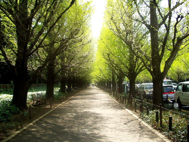 img0010.jpg