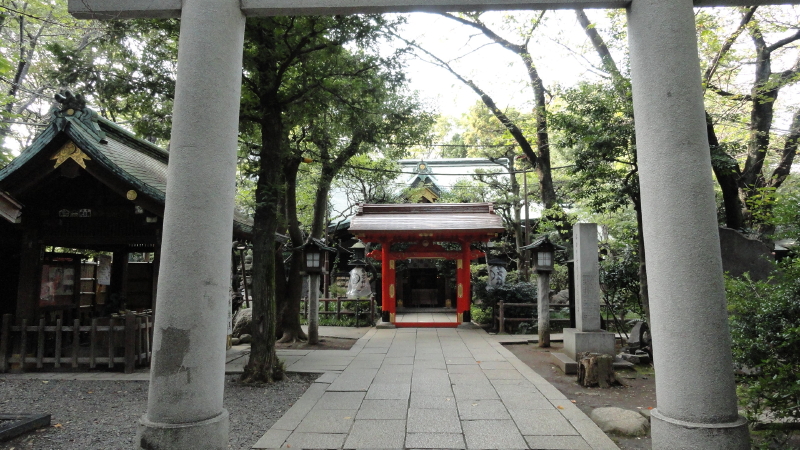 img0003.jpg