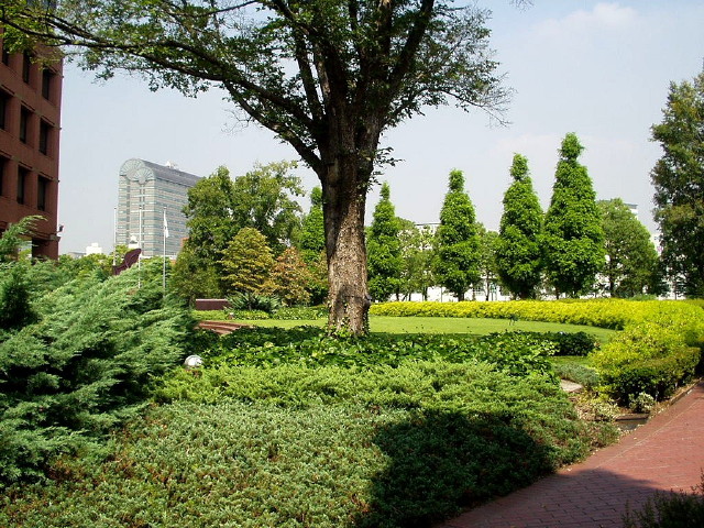 img0035.jpg