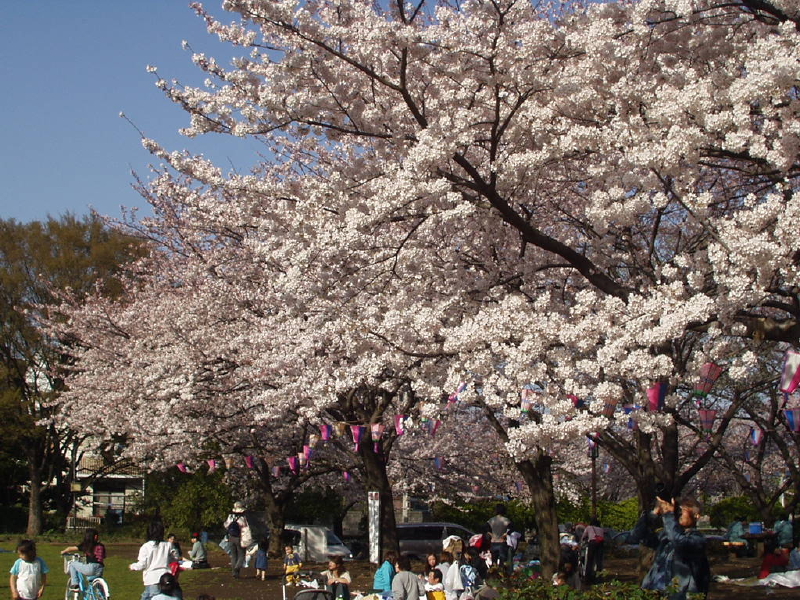 img0035.jpg