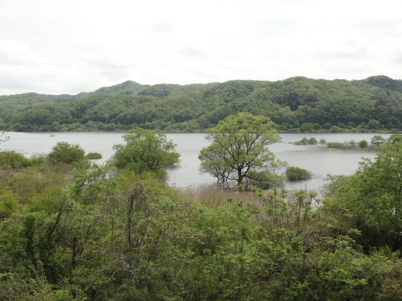 img0011.jpg