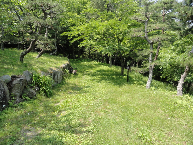 img0002.jpg