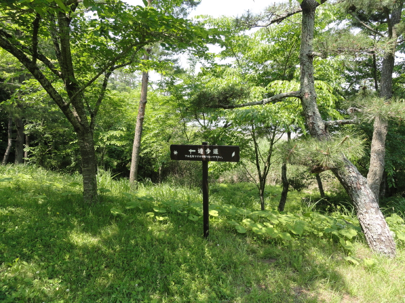img0003.jpg