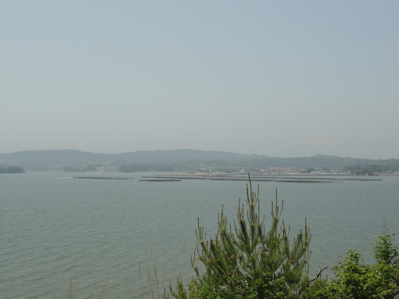 img0012.jpg