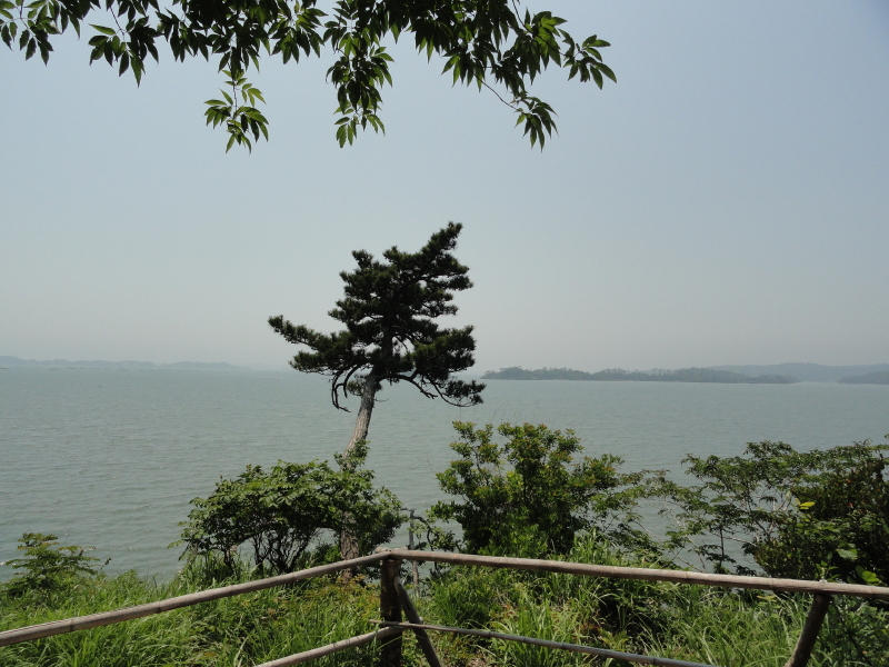 img0025.jpg