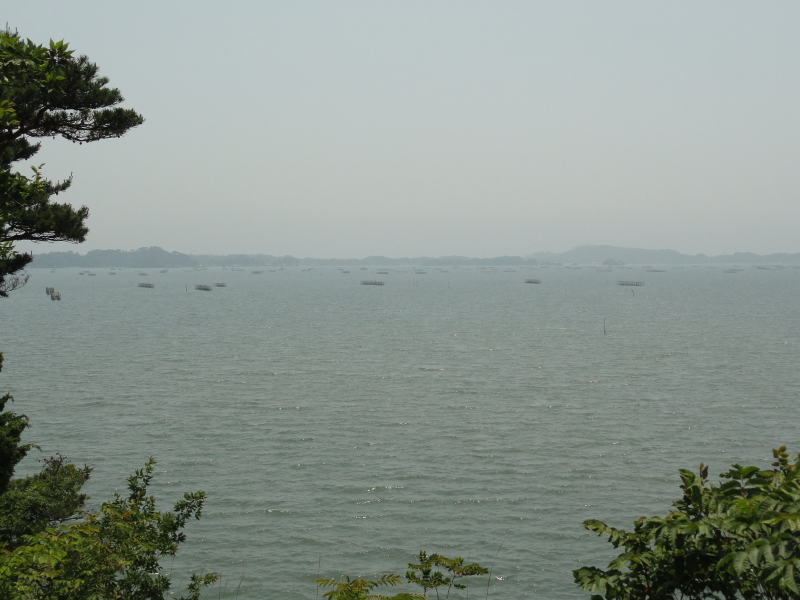 img0037.jpg