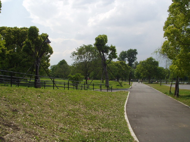 img0029.jpg