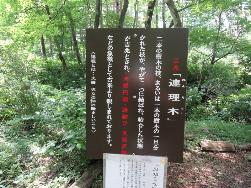 img0067.jpg