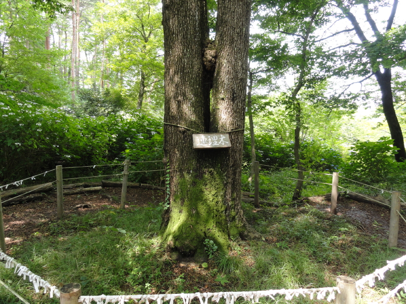 img0068.jpg