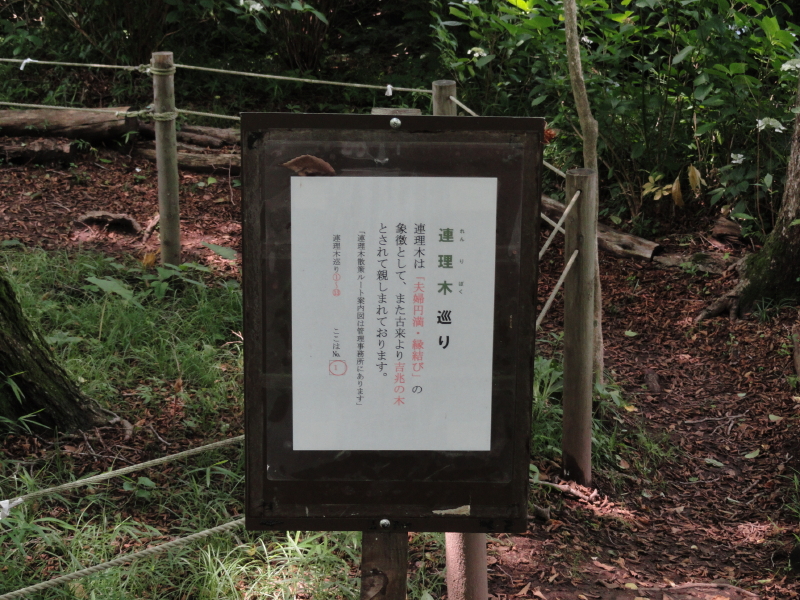 img0070.jpg