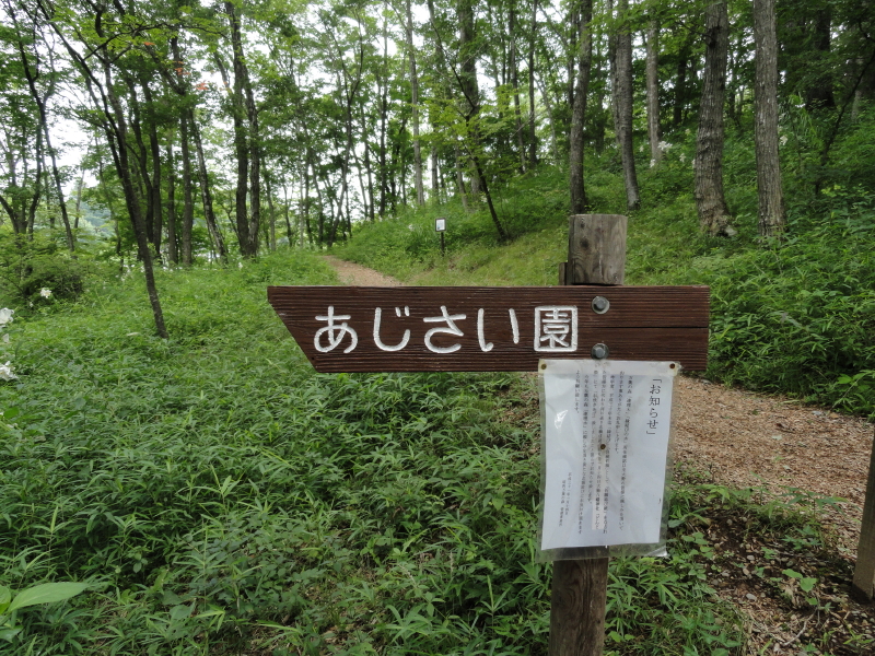 img0071.jpg