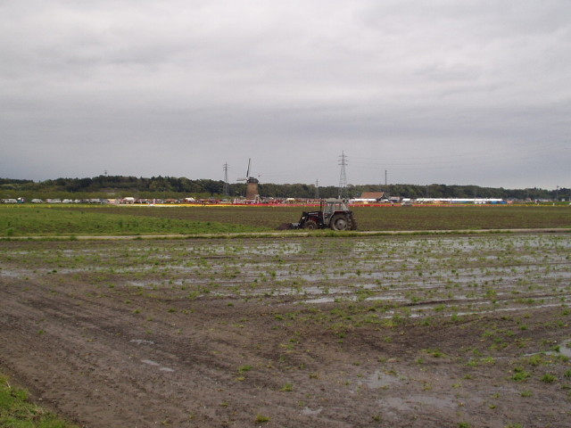 img0004.jpg