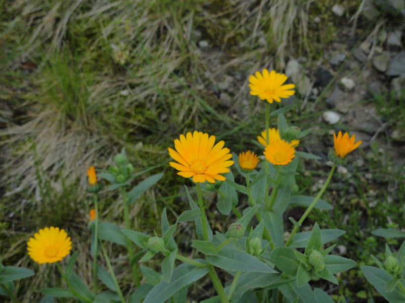 img0030.jpg