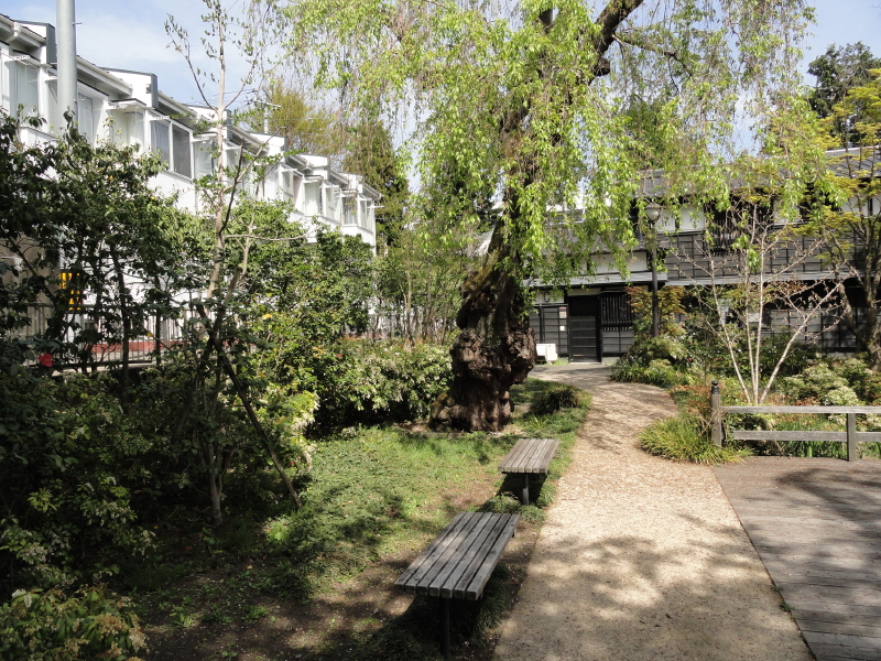 img0020.jpg
