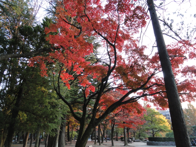 img0028.jpg