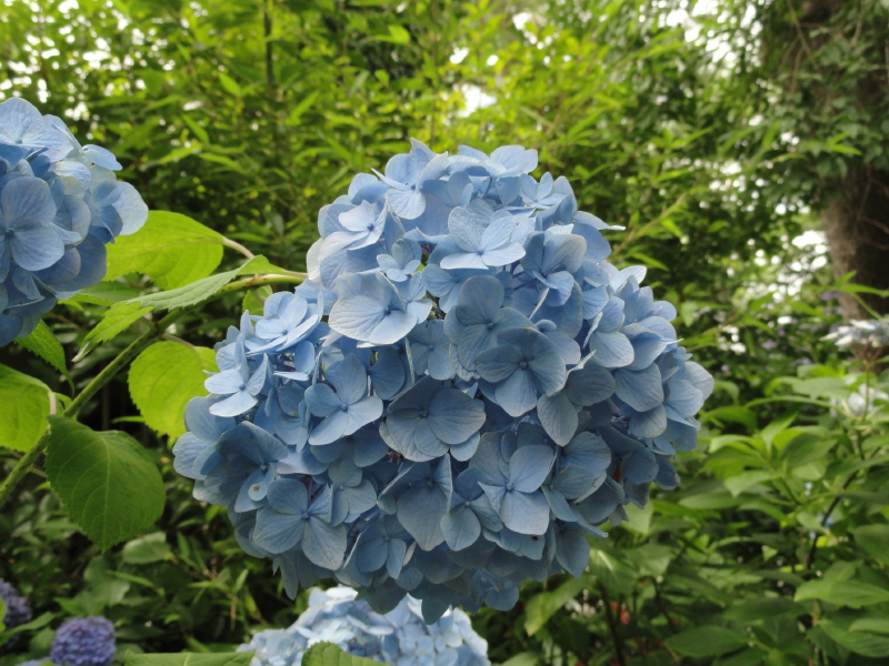 img0013.jpg
