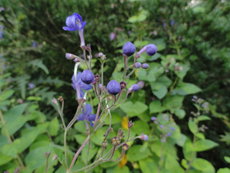 img0020.jpg
