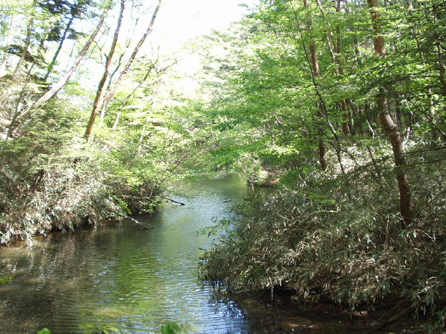 img0002.jpg