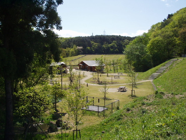img0008.jpg