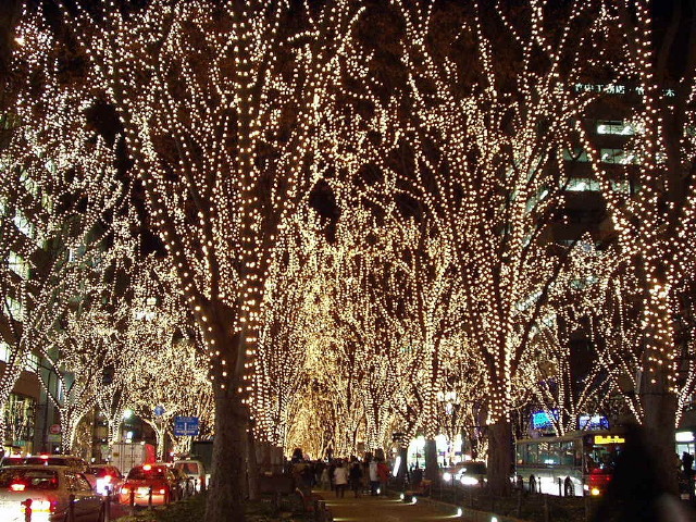 img0017.jpg