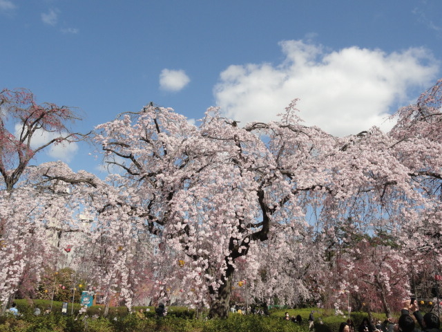 img0006.jpg