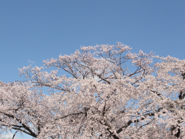 img0013.jpg