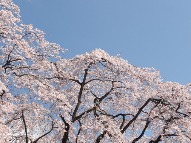 img0016.jpg