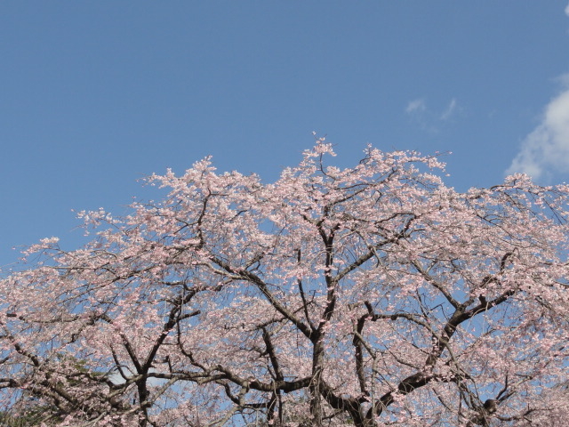 img0019.jpg
