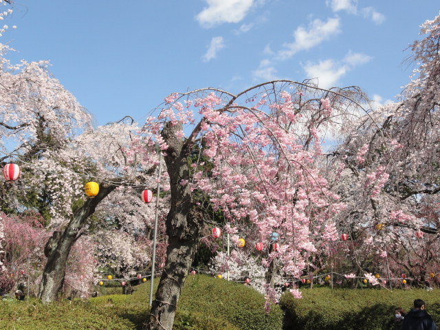 img0025.jpg