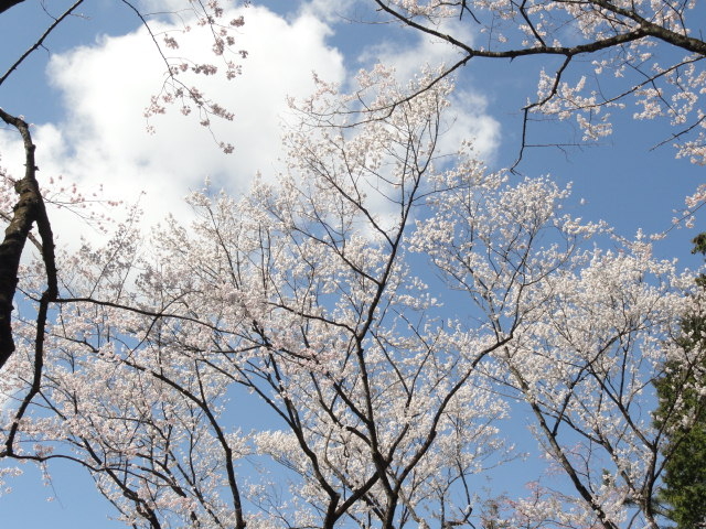 img0029.jpg