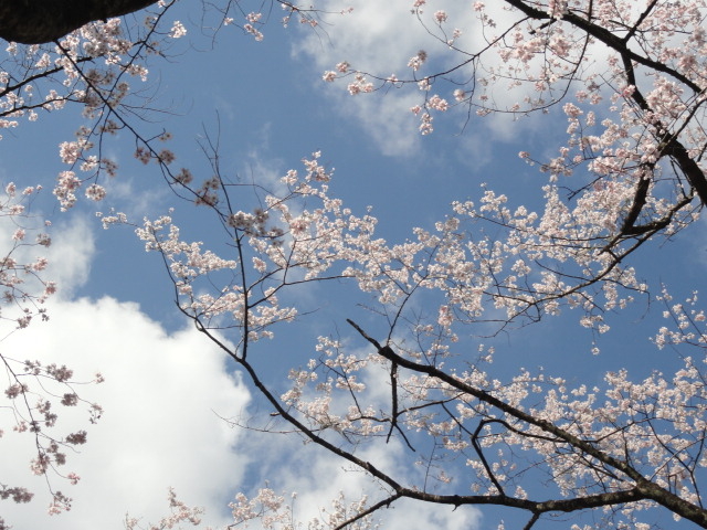 img0030.jpg