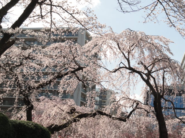 img0046.jpg