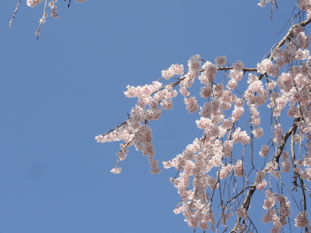 img0048.jpg