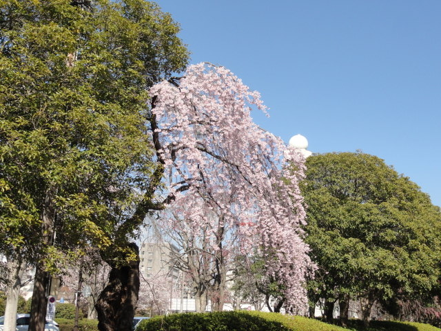 img0049.jpg