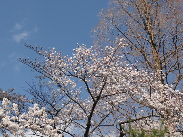 img0052.jpg