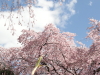 img0001.jpg