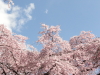 img0002.jpg