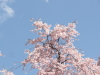 img0003.jpg