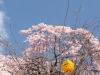 img0004.jpg