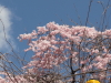 img0005.jpg