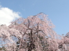 img0007.jpg