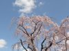 img0008.jpg