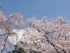 img0009.jpg
