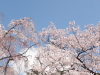 img0010.jpg