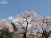 img0011.jpg