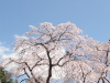 img0012.jpg