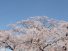 img0013.jpg