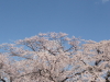 img0014.jpg
