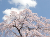img0015.jpg